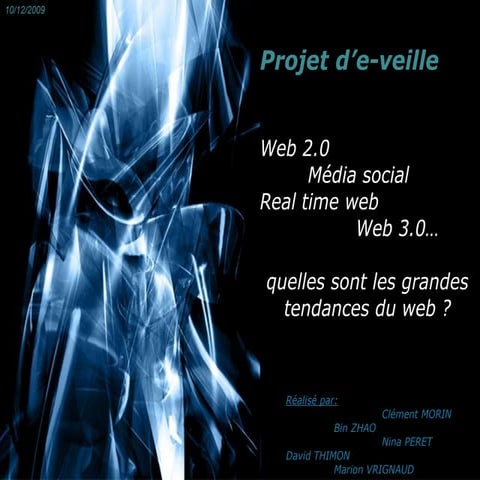 veille Web 2.0