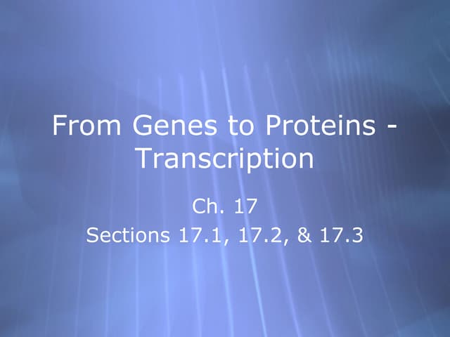 AP Bio Ch  17 part 1 translation