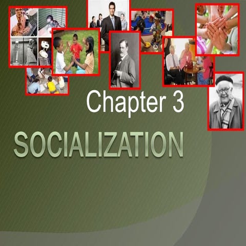 Chapter 3  Socialization