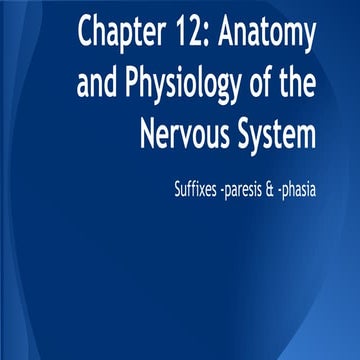 Chapter 12: The Nervous System