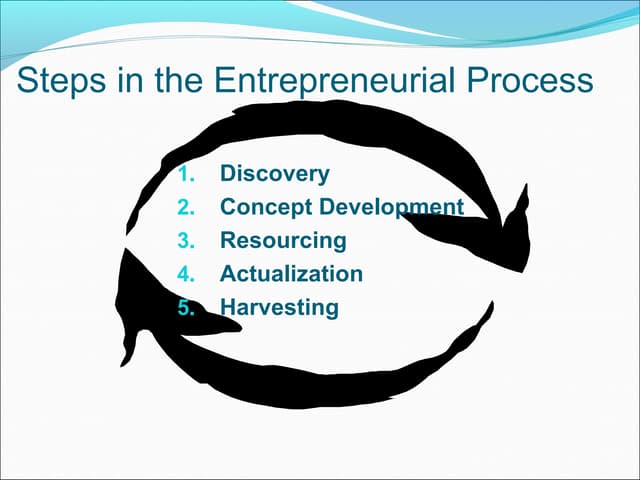 Chapter 2 entrepreneurship (lecture 2)