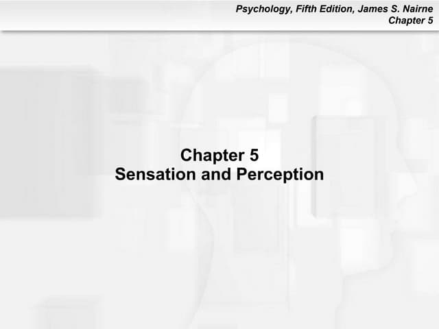 Psychology 101: Chapter 5