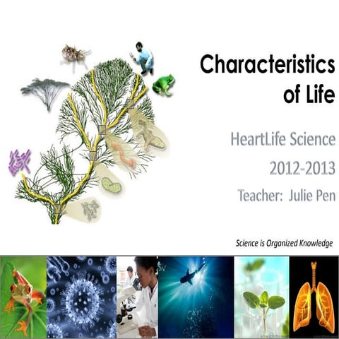 Characteristics of Life