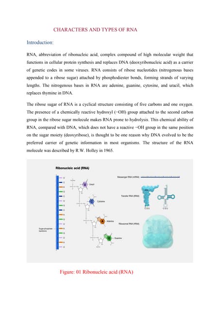 CHARACTERS AND TYPES OF RNA 