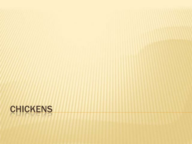 Chickens