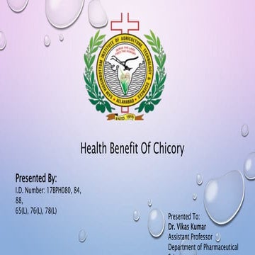 Chicory as health benefit ( Nutraceutical)