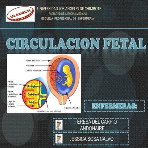 Circulacion fetal