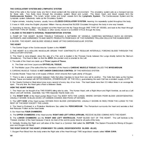 Circulatory system handout