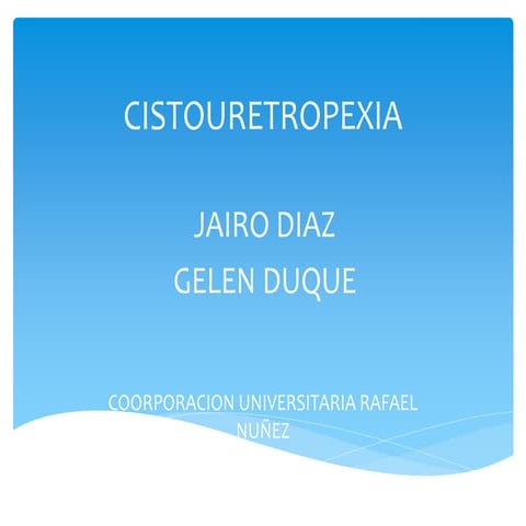 Cistouretropexia