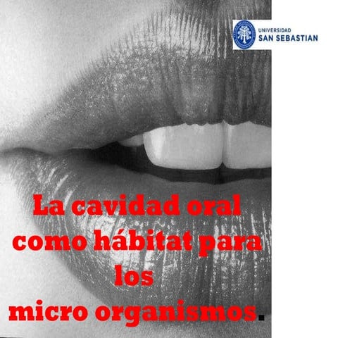Clase 1.  la cav. oral habitat