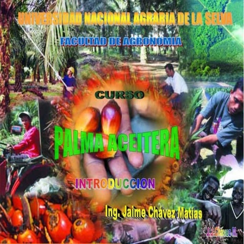 Clase 1 introduccion_palma 