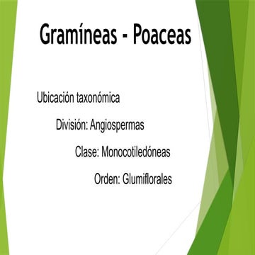 gramineas TAXONOMIA - FISIOLOGIA . FORRAJES