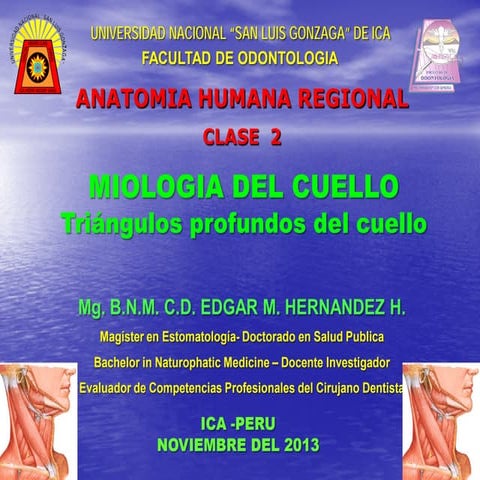 Clase 2 miologia cuello resumen pdf