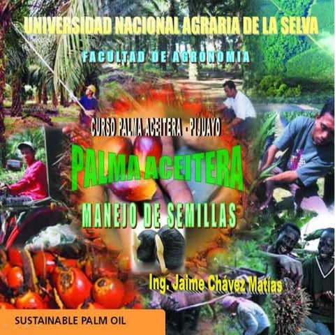 Clase 3 manejo_de_semillas_de_palma
