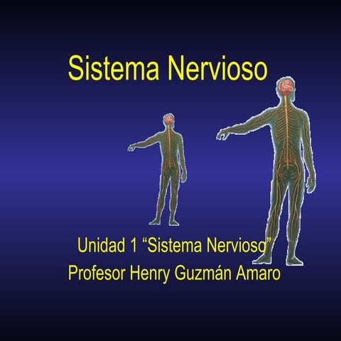 Sistema nervioso y Neuronas 
