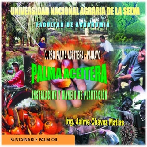 Clase 5 diseno_instalacion_manejo_de_palma