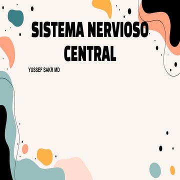 EMBRIOLOGIA DEL SISTEMA NERVIOSO CENTRAL PPX