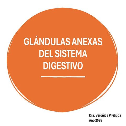 Clase de Glándulas Anexas del tubo DIGESTIVO.pdf