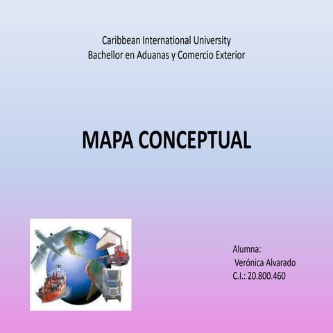 Clasificacion arancelaria mapa conceptual