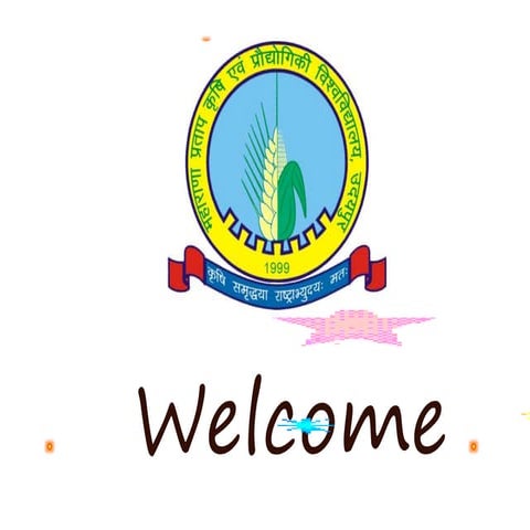 Cleaning grading &amp; conveying