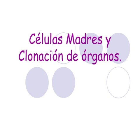 CéLulas Madres Y ClonacióN De óRganos