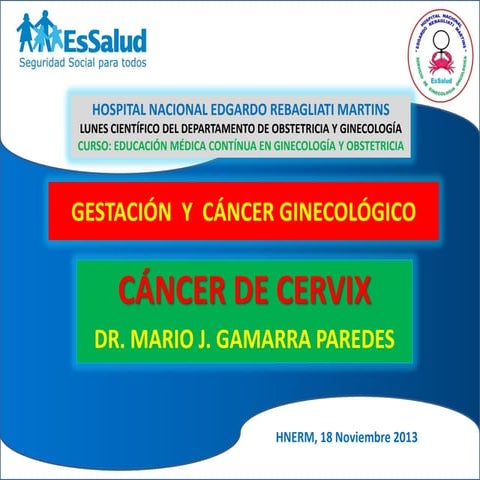 Cáncer de Cuello Uterino y Gestación   Dr. Mario J. Gamarra Paredes