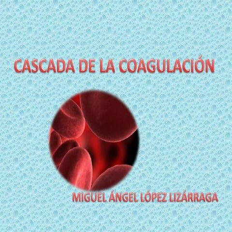 Cascada de Coagulacion
