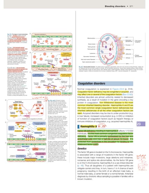 Coagulation disorders (Haemophilia thpe A, B & Von Willebrand Disease)