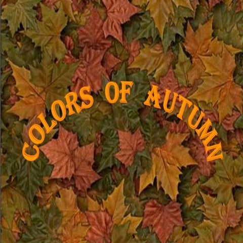 COLORS OF AUTUMN