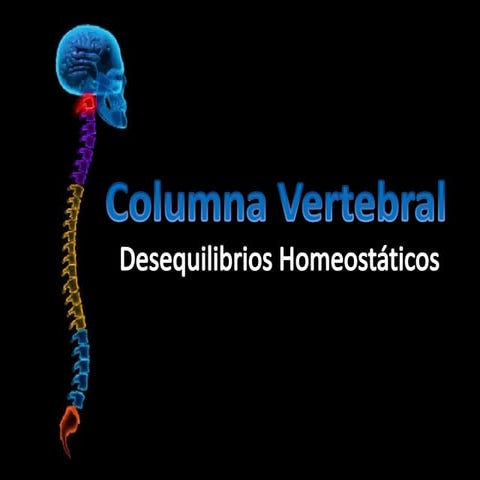 Columna vertebral 