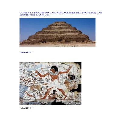 Comenta Siguiendo Las Indicaciones Del Profesor Las Siguientes LáMinas