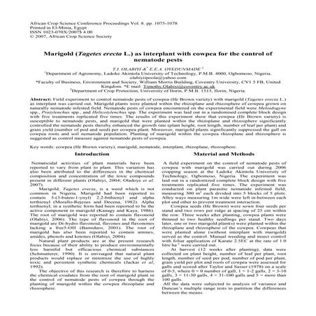 Marigold as Interplant with Cowpea for the Control of Nematode Pests