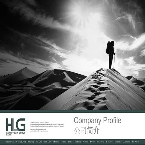 HLG company profile