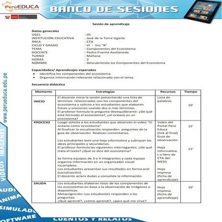 Componentes del ecosistema
