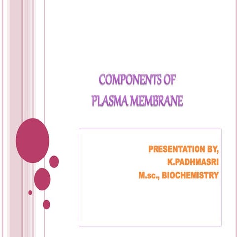 Components of plasma membrane