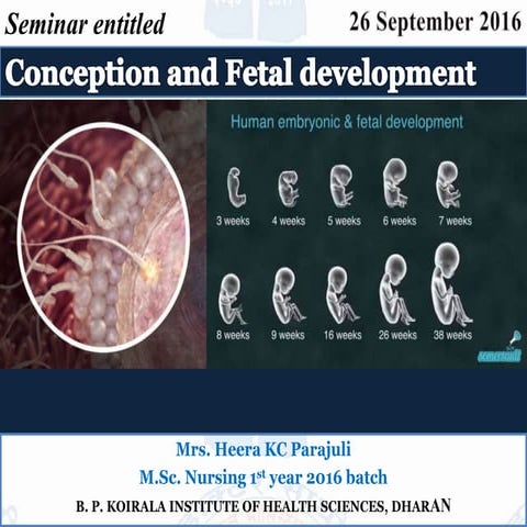 Conception and fetal development by Heera KC Parajuli