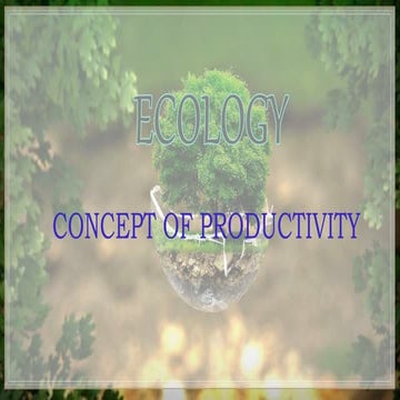 Concept of productivity