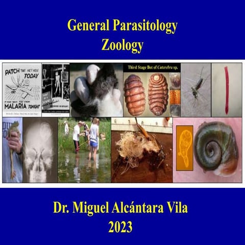 Conference 5 Parasitology Introduction-1.ppt