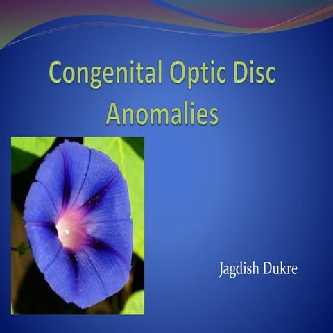 Congenital optic disc anomalies
