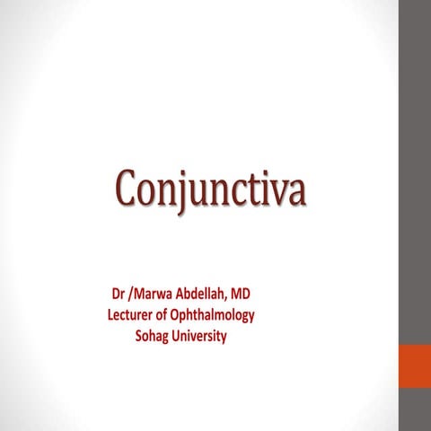 Conjunctiva