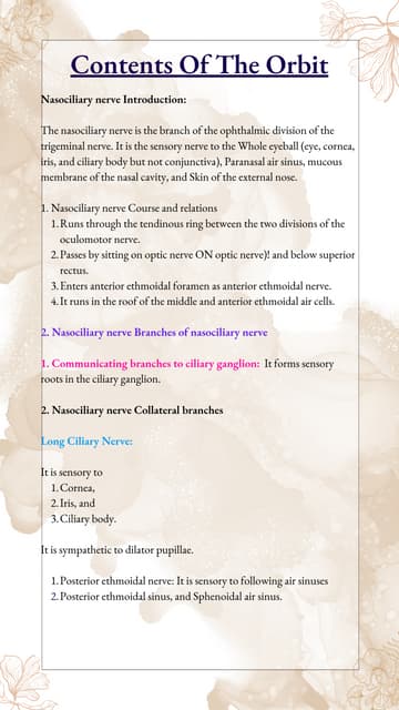 Contents Of The Orbit  the 7 bones that make up the orbit.pdf