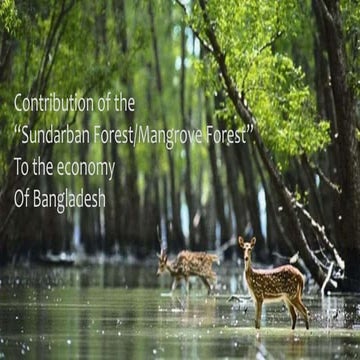 Contribution of Sundarban 