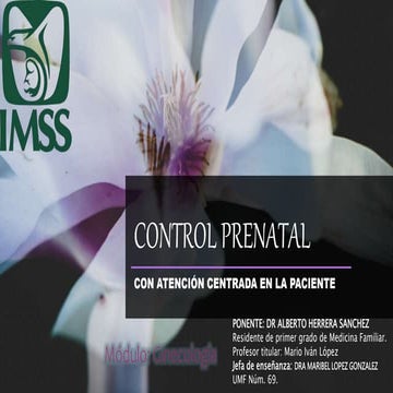 Control prenatal.pptx
