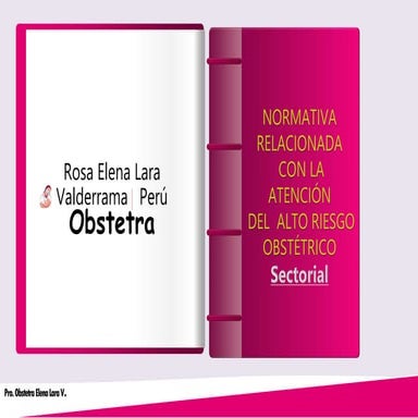 Copia de 3 C DOC. NORMATIVOS SECTORIALES 12 2022 Obstetra Lara
.pptx