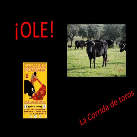 Corrida de toros