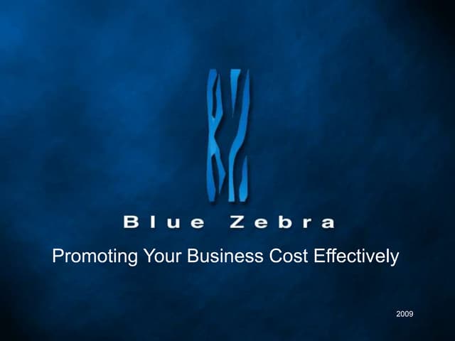 Cost Effective Advertising And Promotion