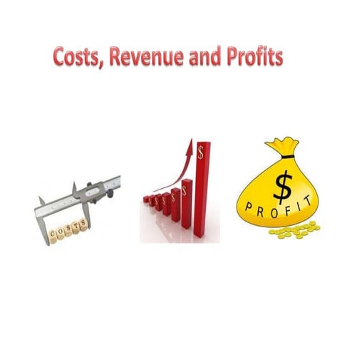 Costs, revenue and profit