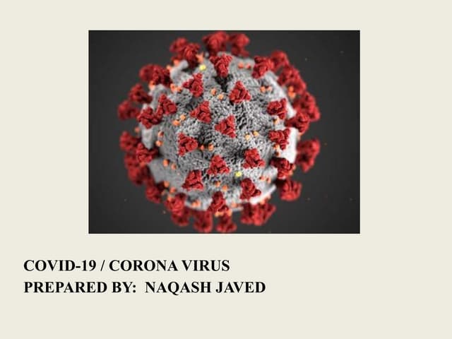 Covid-19 / corona virus 