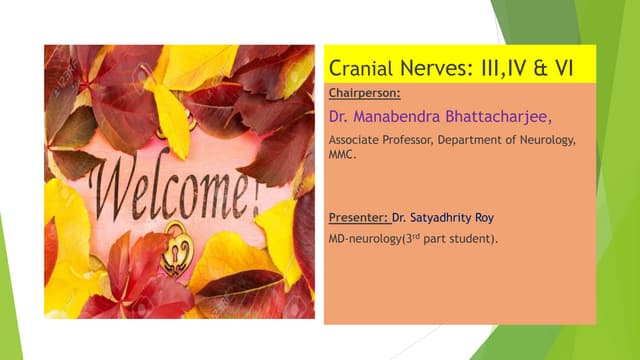 Cranial nerves 346