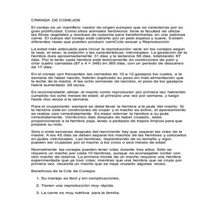 Crianza de conejo